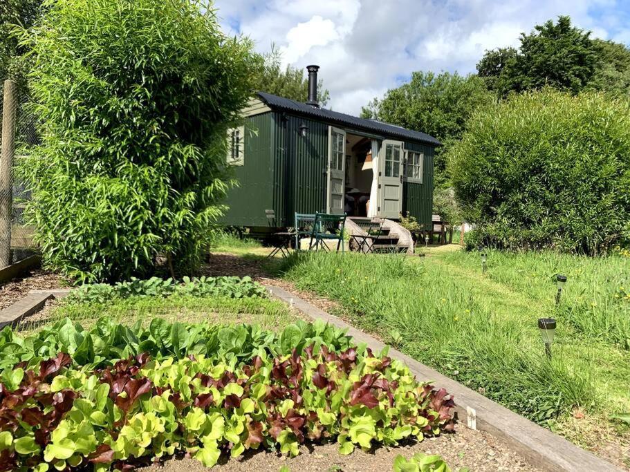 Rushford Shepherd's Hut Newton Abbot