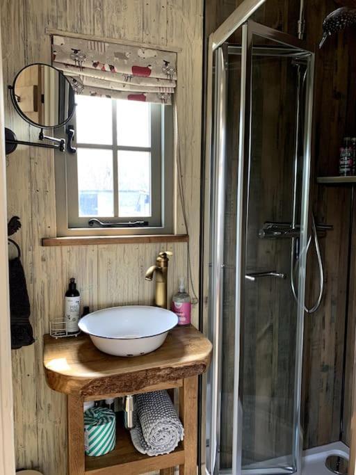 Rushford Shepherd's Hut Newton Abbot